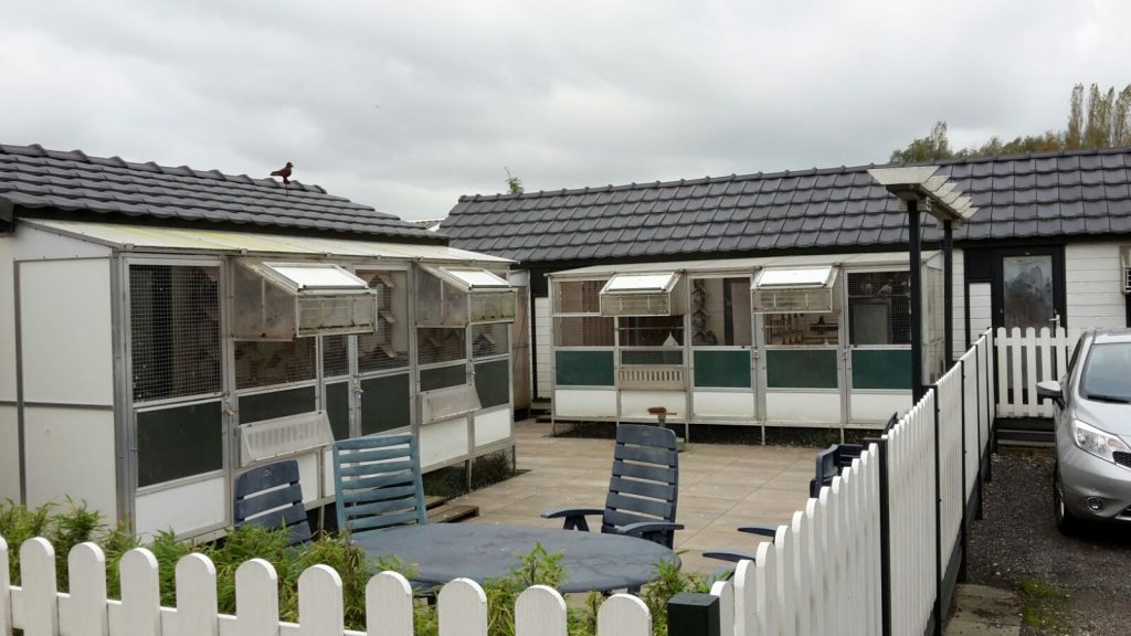 IMG-20171028-WA0002[692]